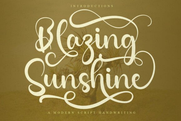 Blazing Sunshine: The Font That Elevates Your Brand