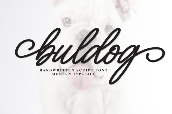 Buldog: A Font That Elevates Branding with Personality