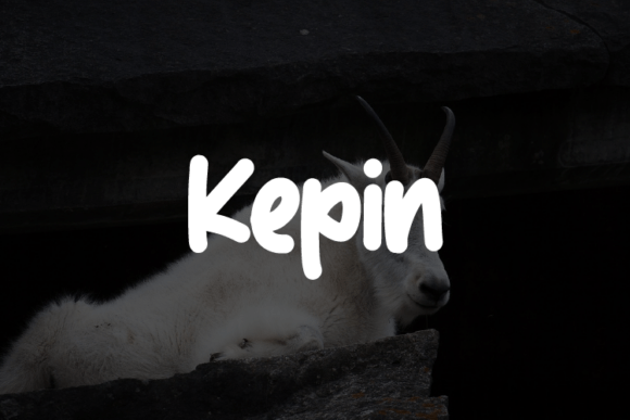 Font Choice That Matters: How Kepin Shapes Campaign Success